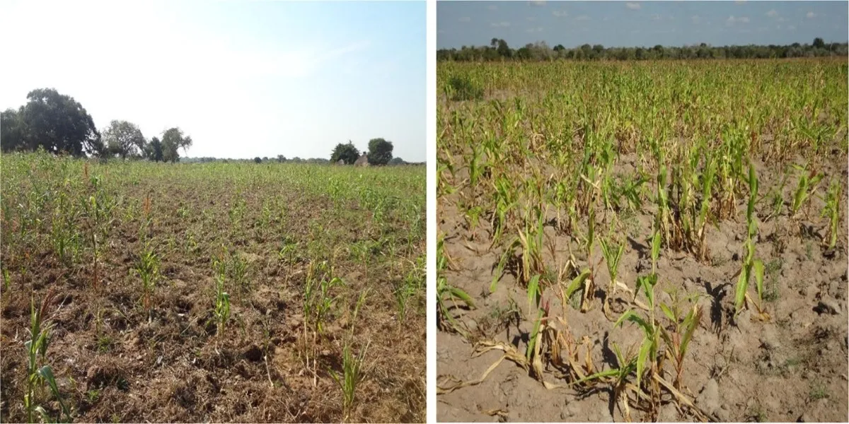 Sri Lanka Today | Dry Spell Affects More Than 81,000 People Across Seven Districts