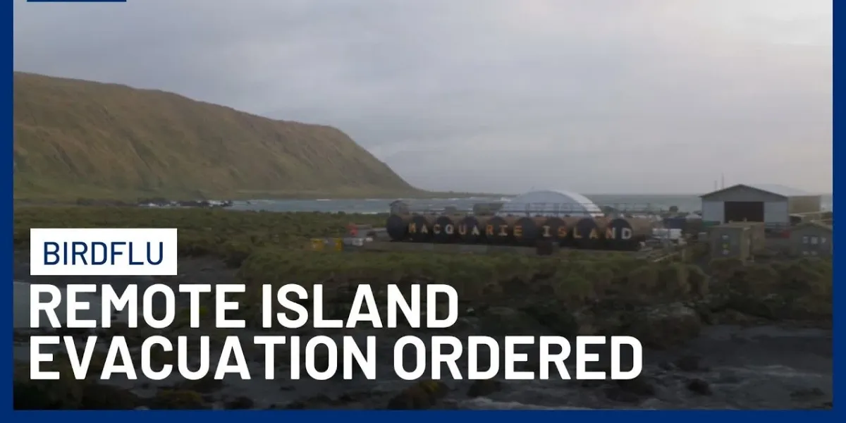 Australia Today | Bird Flu Takes a Frightening Turn as H5N1 Reaches Dolphins and Forces Remote Island Evacuation