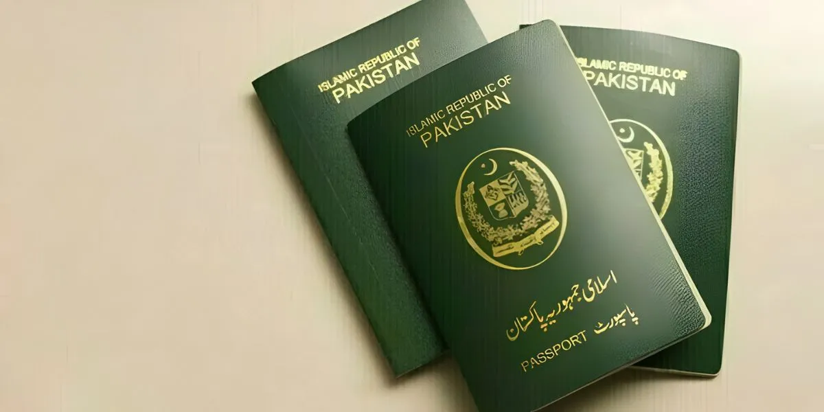 Pakistani Diaspora | Pakistan Diaspora Faces Investment Opportunities, UAE Detentions & Passport Delays Abroad