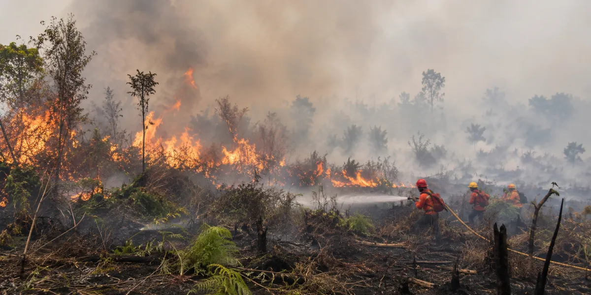 Indonesia Battles Severe Fires as Regional Haze Spurs Foreign Aid