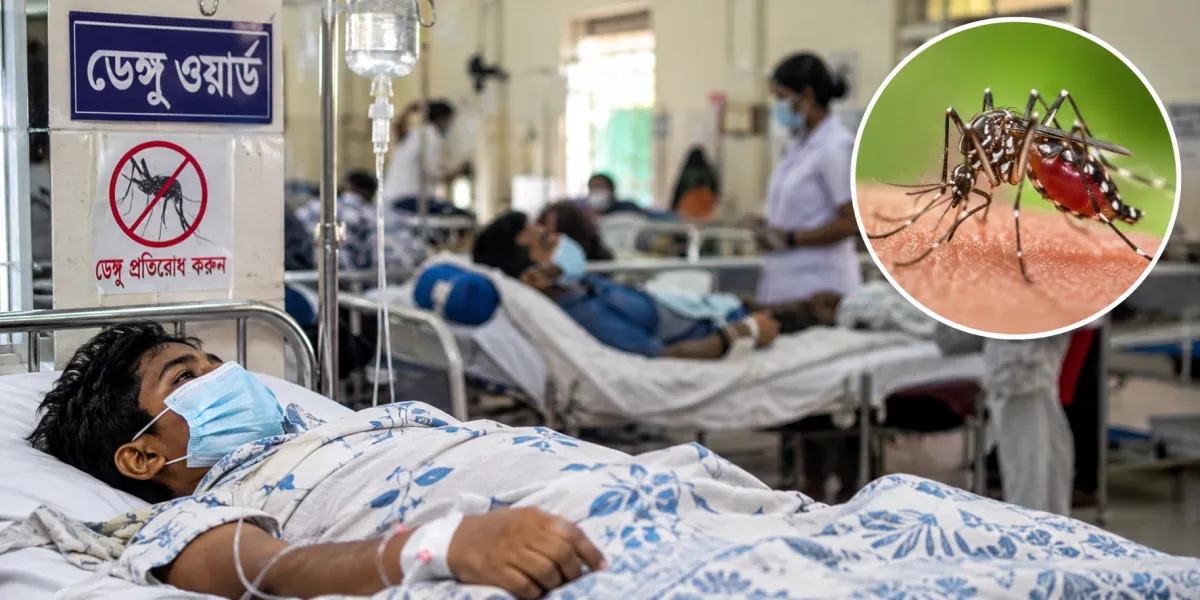 Bangladesh Today | Dengue Death Toll, Saudi Flight Suspensions, Cox’s Bazar Tragedy, Mongla Port Development, Cybersecurity Threat