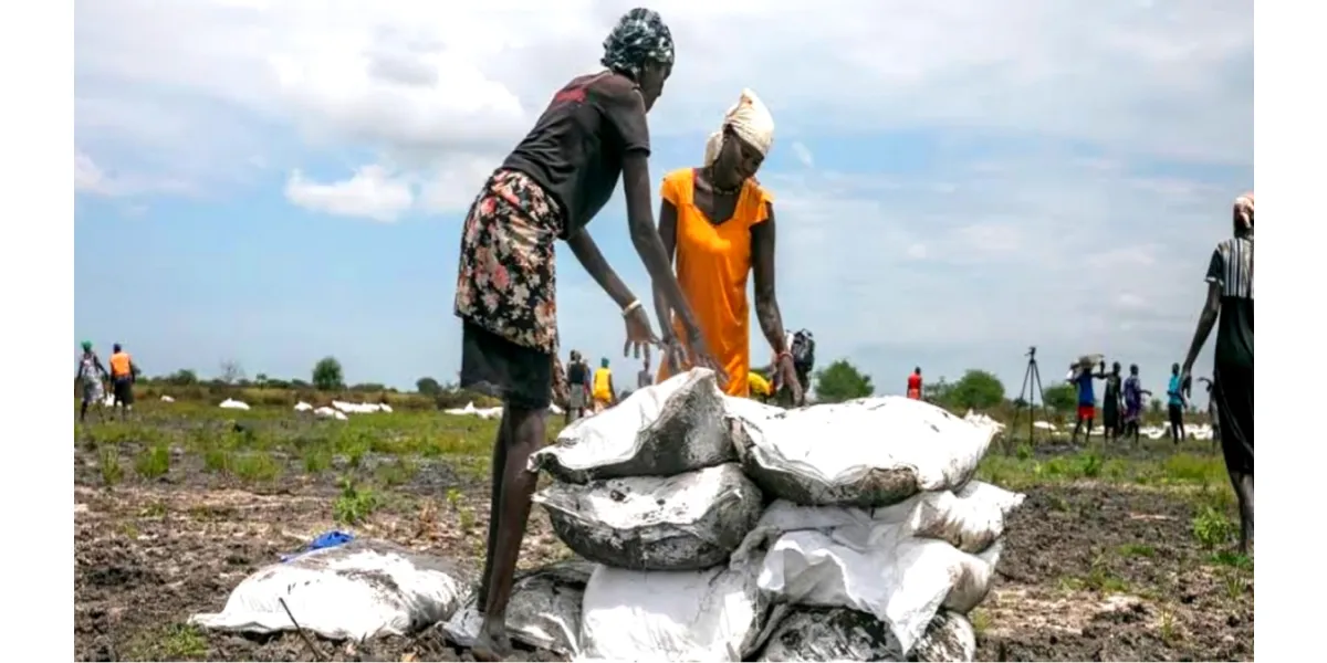 Cholera Worsens in Sudan; Somalia Faces Health Crisis Amid Clashes: OCHA