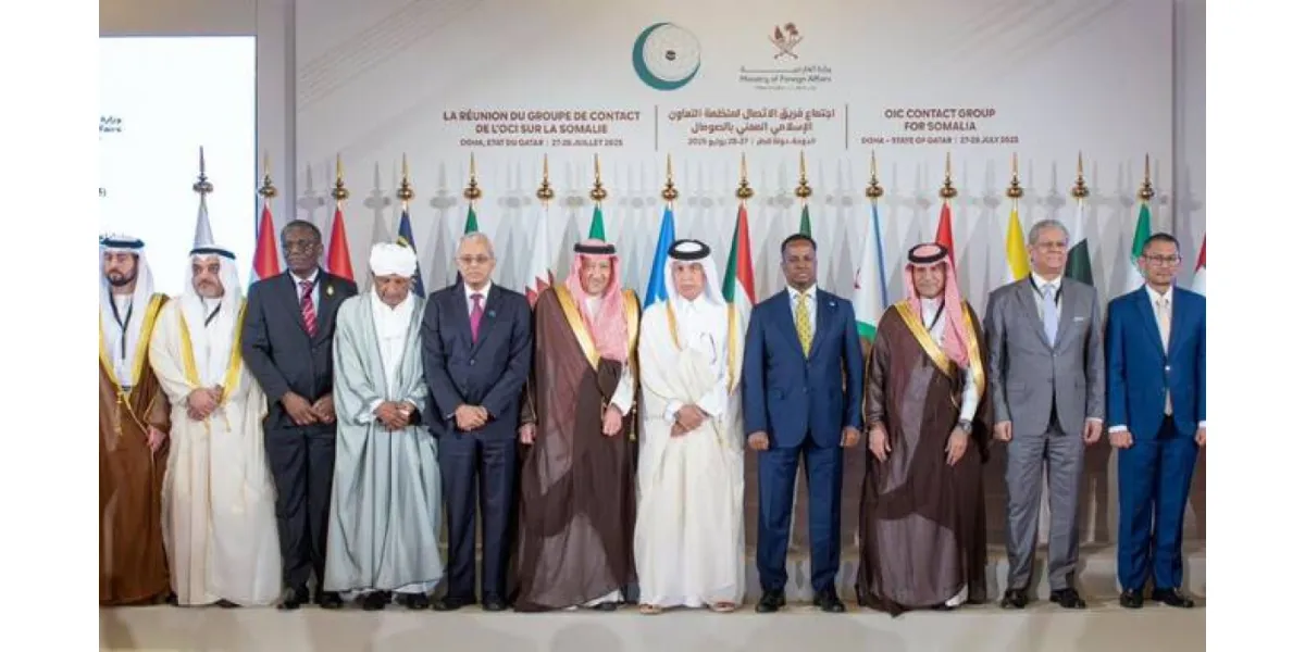 Saudi Minister Calls for Global Support for Somali Stability at OIC Summit