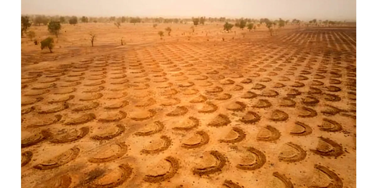 UN Allocates $4M in Anticipatory Funding for Central America Drought