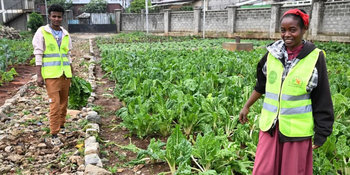 Youth Driving Change for a More Sustainable Future